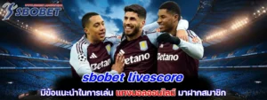 sbobet livescore